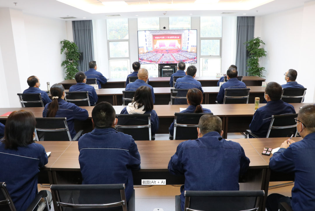 �����ϵV�I(y��)��˾���h���I(l��ng)���^鮺V�� ���۰l(f��)չ�����ܡ�