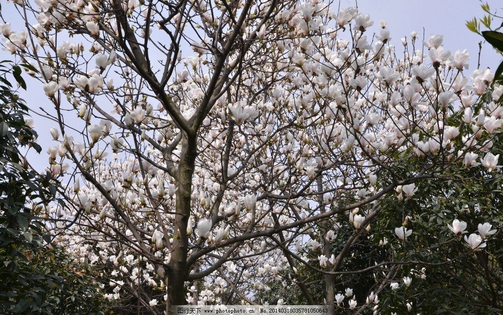 ���m���_