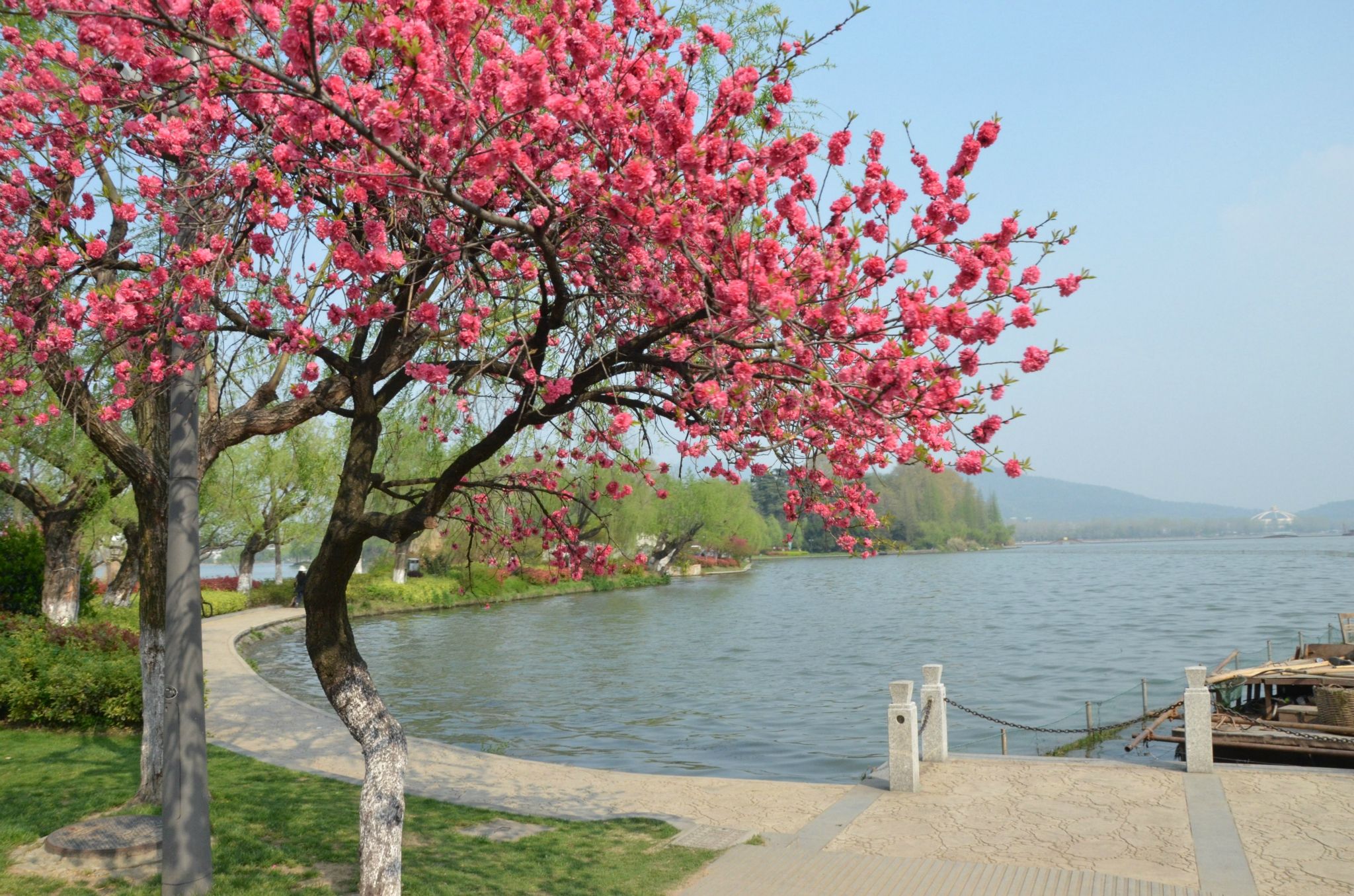 ���g����������