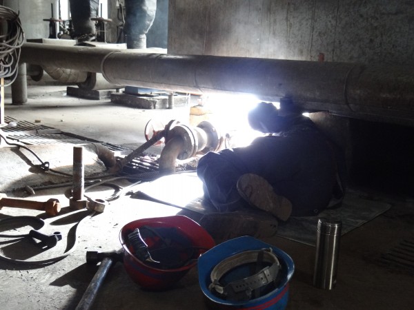 “勞模”精神在綻放