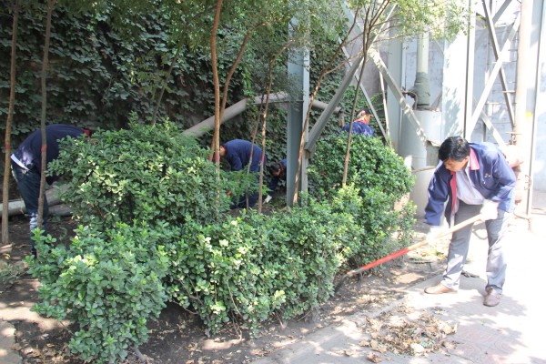 同興公司組織開展機關(guān)管理人員義務(wù)勞動