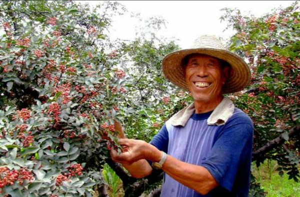 �ֵ�ɽ�l(xi��ng)���t�r