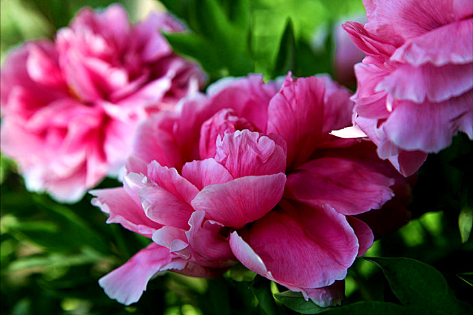 ף���������ĸ�H