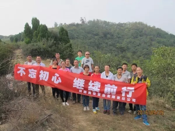 �����ØI(y��)��˾�M���_չ�����ɽ��ӡ�