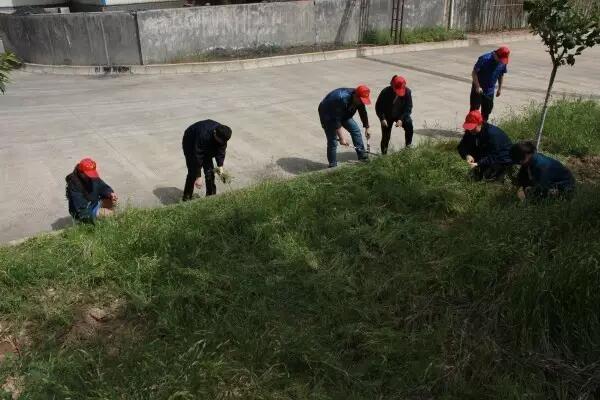 �����ϵV�I(y��)��˾����܈��˾�Fί�_չ�����ġ�ϵ�л��