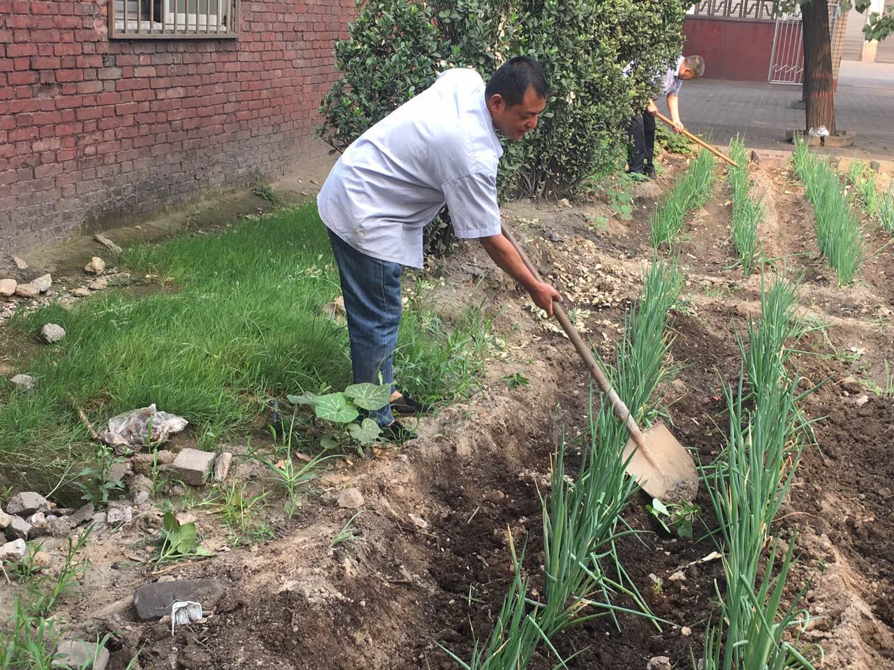 ���ć����С��ٷ���(w��)�������x��(w��)�ڄ�չ�h�T�L(f��ng)��