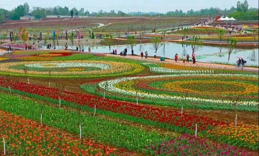 ٛ��õ������������