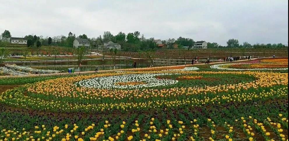 ٛ��õ�壬��������