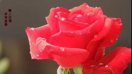 ٛ��õ������������