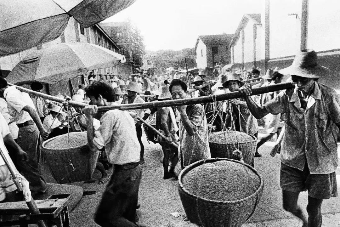 我與共和國共成長 我與共和國共成長