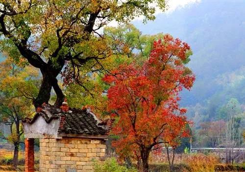 ���l(xi��ng)����