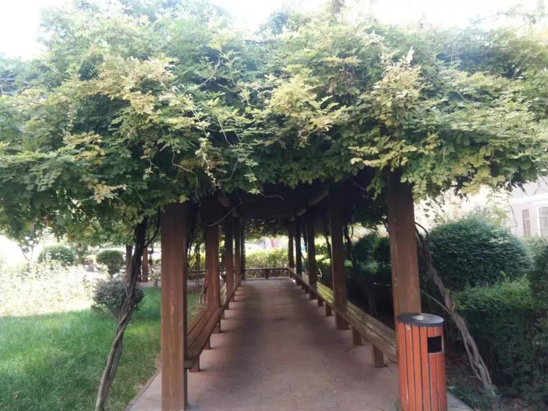 �@�^(q��)����⡡̎̎����