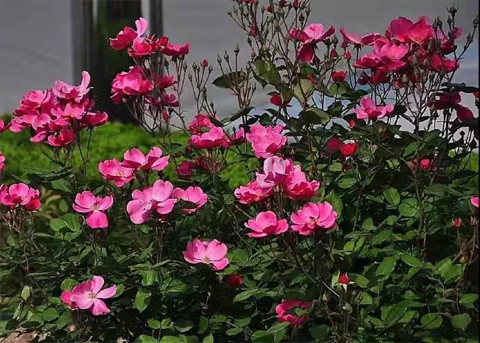 ���L(f��ng)����¼���