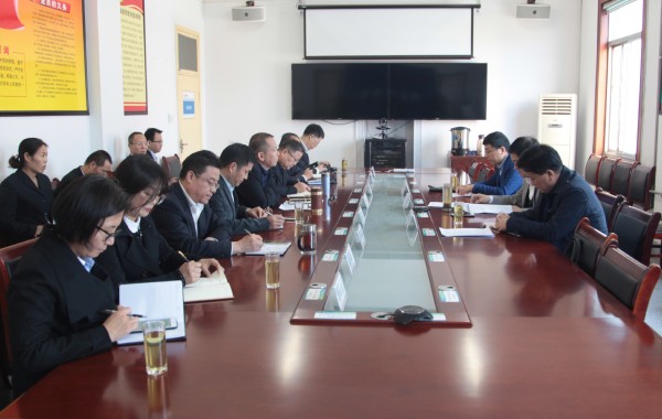 陜鋼集團對龍鋼集團2019年度黨建目標(biāo)責(zé)任落實暨黨風(fēng)廉政建設(shè)情況進行綜合檢查