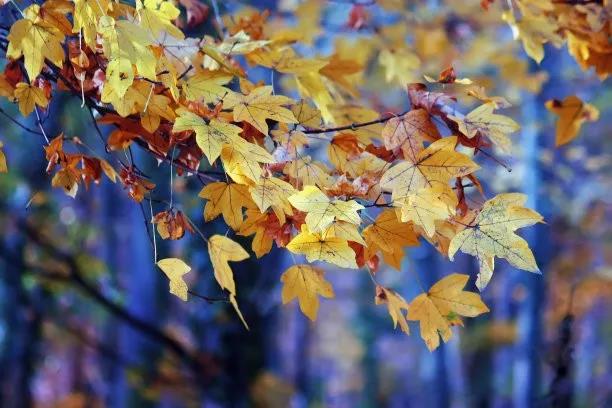 ��ͩ��(sh��)