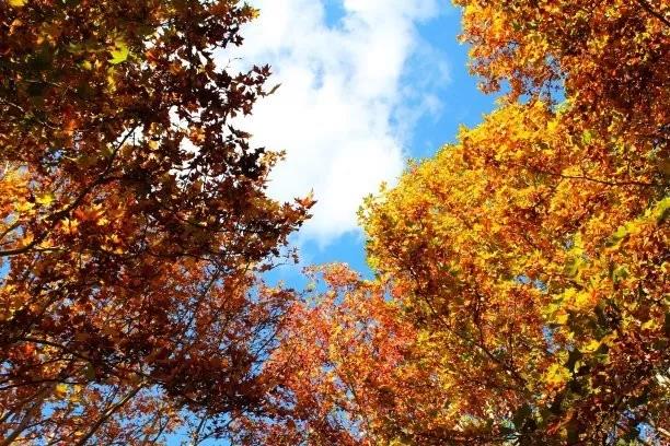 ��ͩ��(sh��)