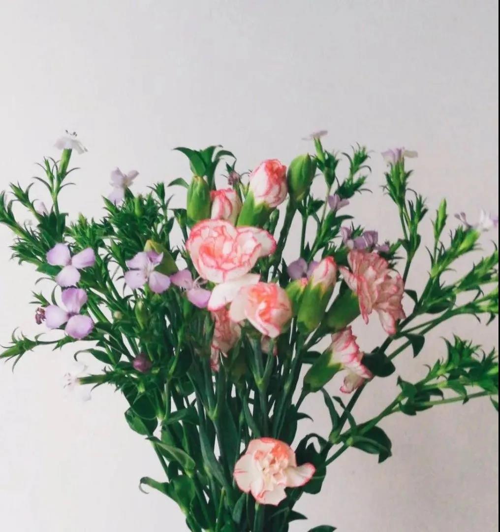 致鋼城最美的你們 致鋼城最美的你們