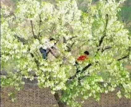 ���l(xi��ng)�Ļ�����