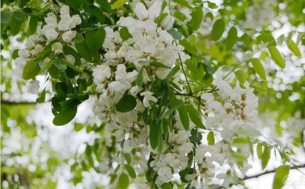 ���l(xi��ng)�Ļ�����