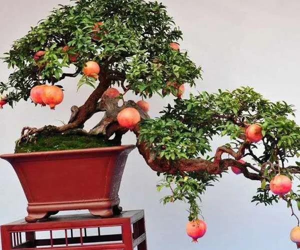 ɽˮһ�辰  ���۟oԊ