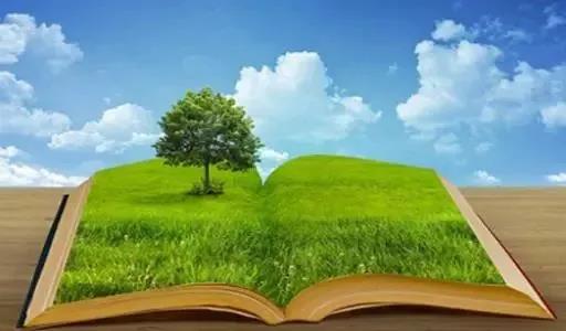 �����ϵV�I(y��)��˾�_(k��i)չ�k���^(q��)��h(hu��n)���l(w��i)��������������