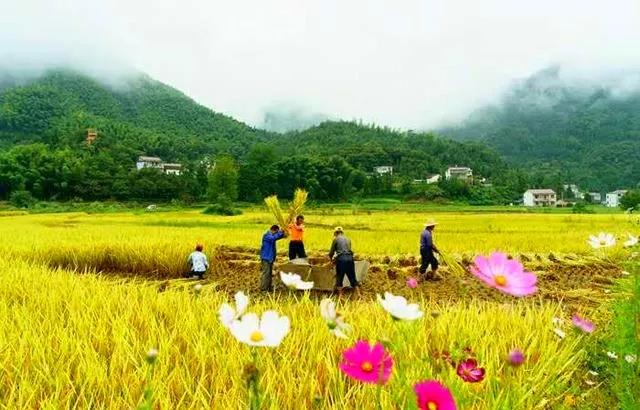 �����̫�