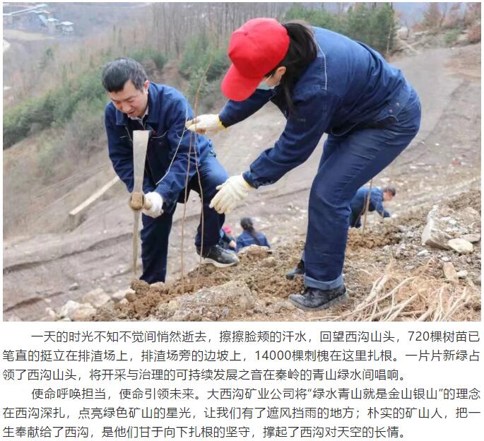 �������� ��G���С�����䓼��F�����ϵV�I(y��)��˾ �_չ��3.12��ֲ����