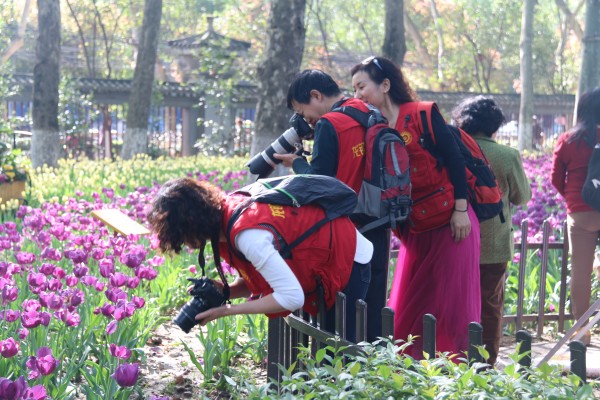 ��䓼��F(tu��n)�����zӰ�f(xi��)���M���zӰ���L(f��ng)���